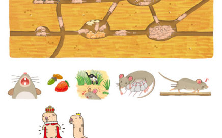 絵本　ハダカデバネズミのイラスト