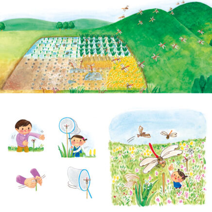 赤とんぼと、田んぼ、山の風景イラスト