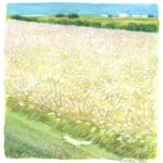 水彩画　ススキと白いキツネのイラスト